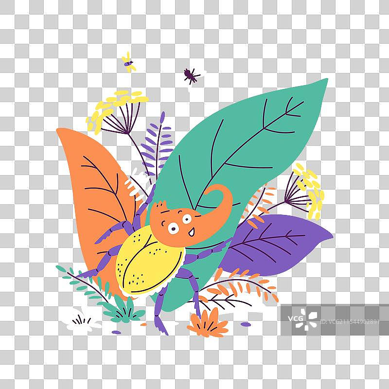 可爱的彩色犀牛甲虫在大物体上爬行图片素材