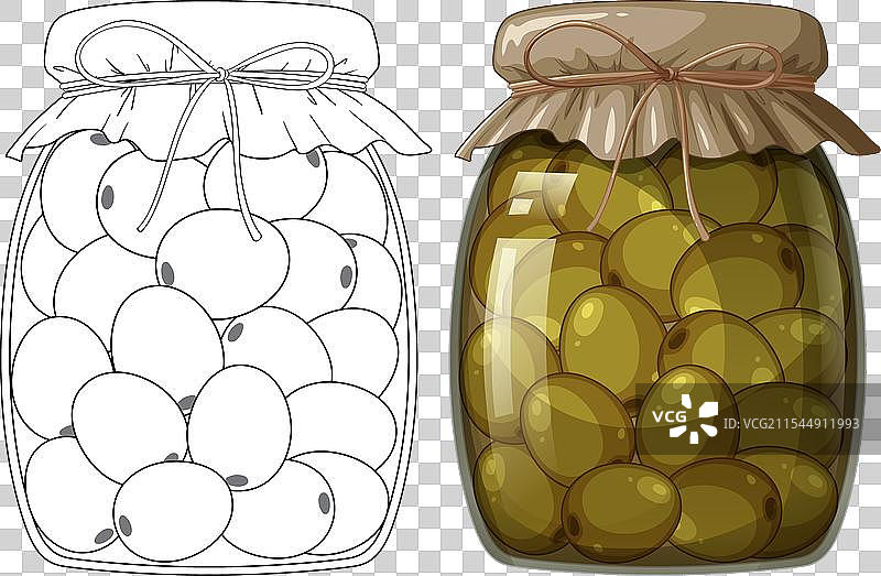 罐子里的橄榄，一幅素描一幅彩色画图片素材