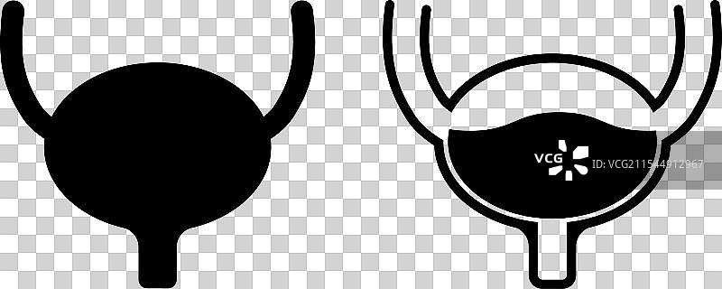 泌尿系统健康人类图标解剖医学集合图片素材