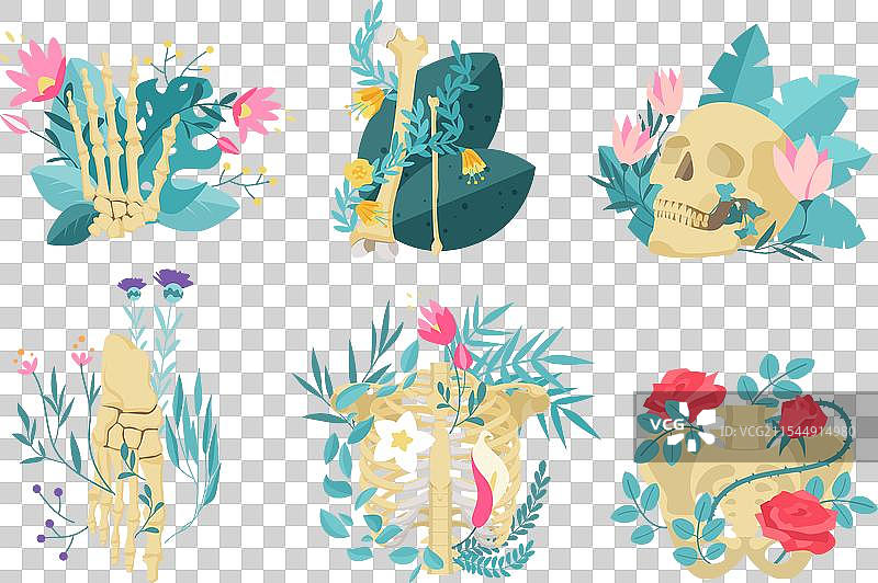 花卉中的人类骨骼骨骼组合图片素材