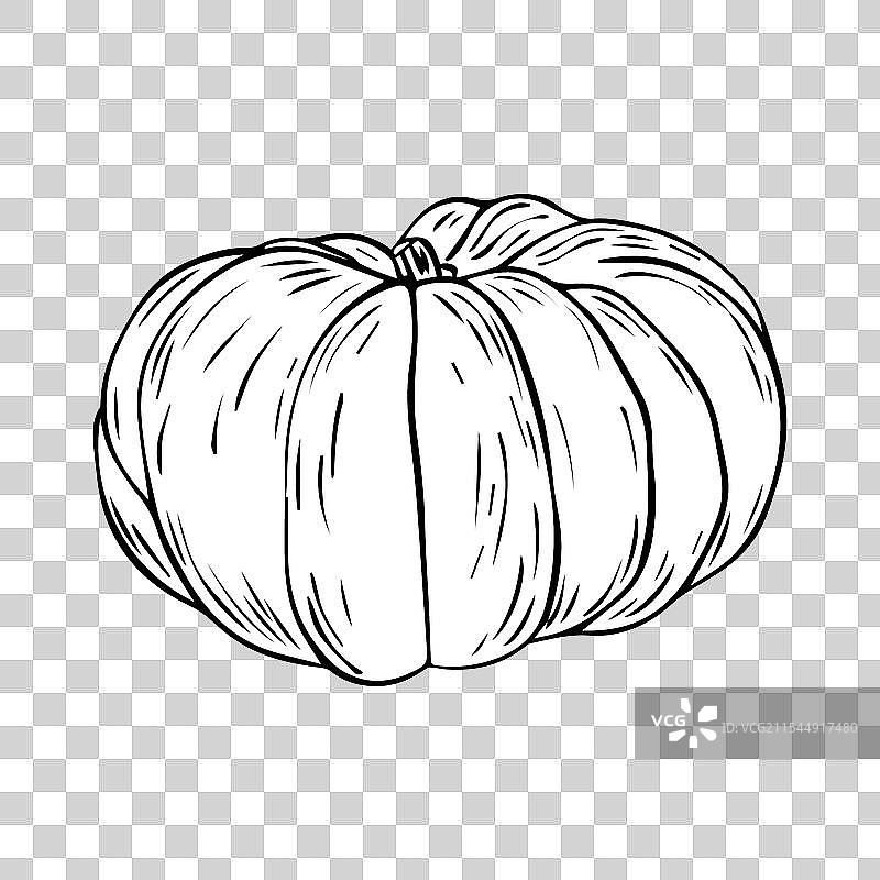 手绘南瓜涂鸦风格图标图片素材