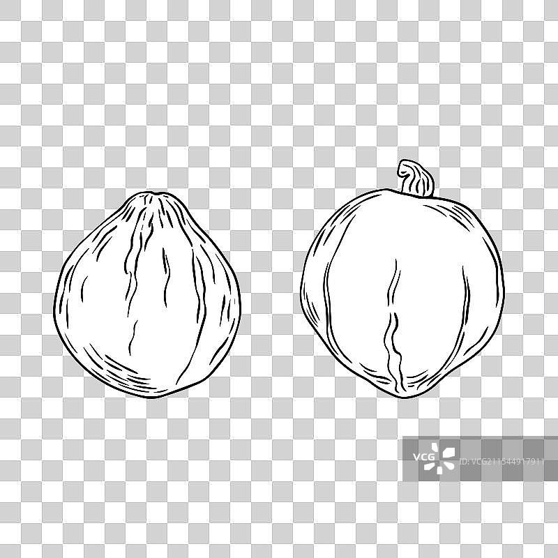 手绘南瓜涂鸦风格图标图片素材