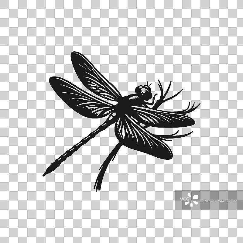 蜻蜓剪影图标扁平化设计图片素材