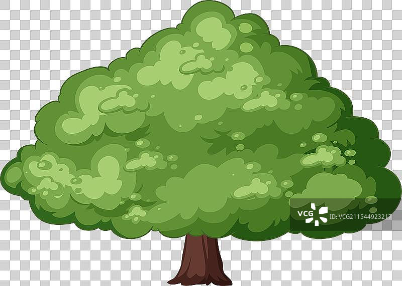 生动的绿色树木卡通风格图片素材