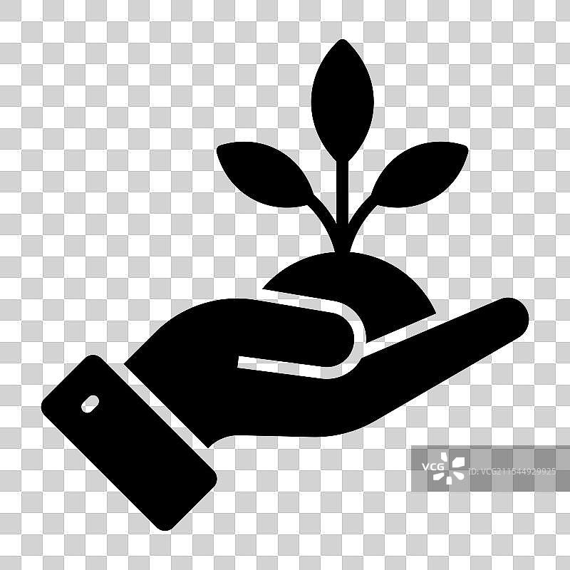 手中握着的嫩芽，象征植物的概念图标图片素材