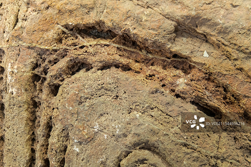 褶皱 山东产 山东省地质博物馆图片素材