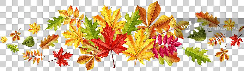 秋天的树叶逼真的构图图片素材