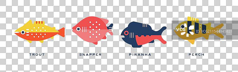 不同鱼类的扁平图标及名称集图片素材