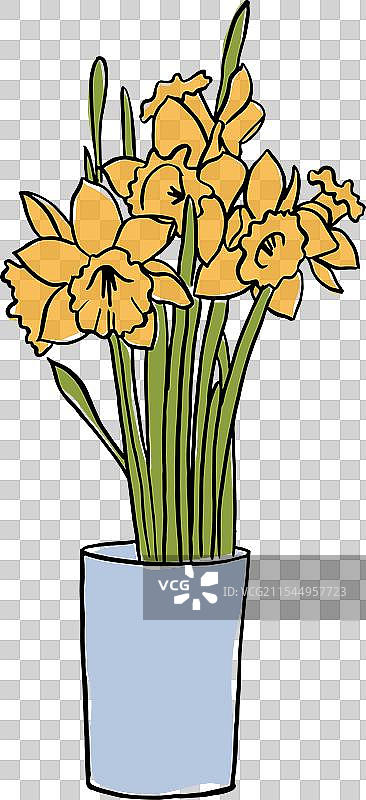 色彩斑斓的素描，花瓶中插着水仙花图片素材