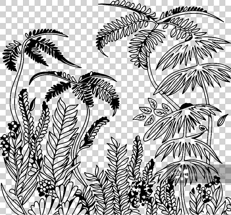 郁郁葱葱的植物园，生长着蕨类植物和花卉图片素材