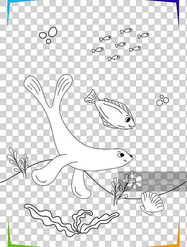 黑白色的海狮、毛皮海豹、鱼和贝壳图片素材