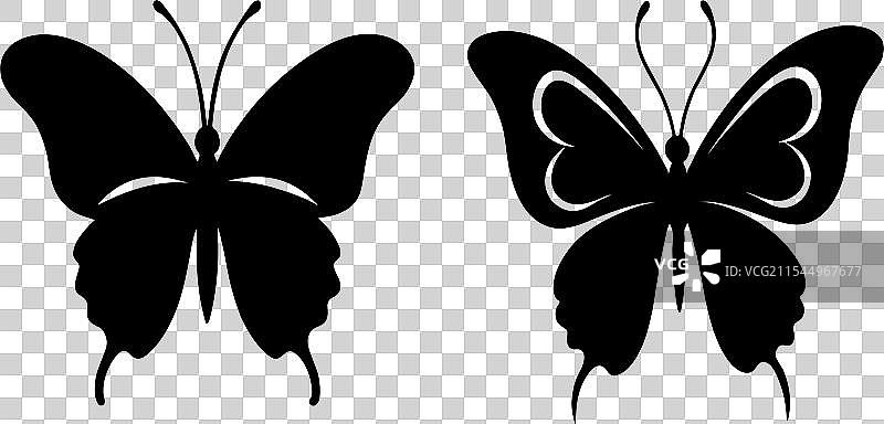 蝴蝶剪影图形用于设计图片素材