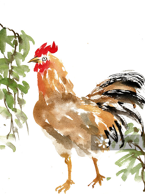 绿植与公鸡图片素材