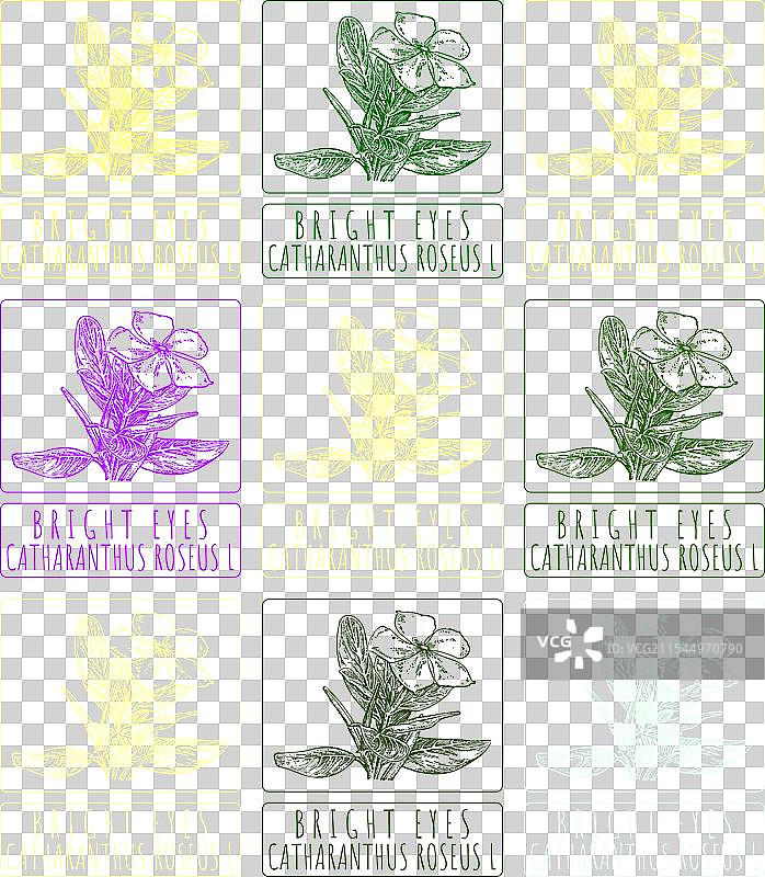 一组各种颜色的明亮眼睛绘画图片素材