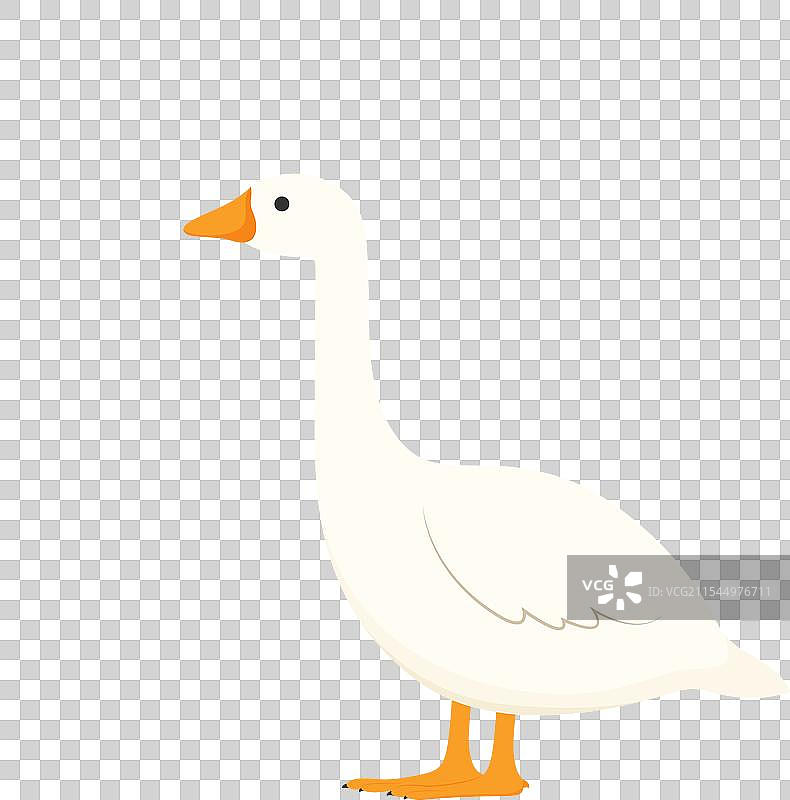 可爱的卡通白鹅图标图片素材