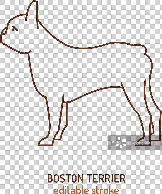 波士顿犬品种轮廓剪影图片素材