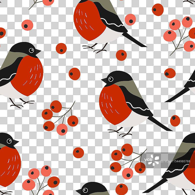 有趣的彩色红腹灰雀无缝图案图片素材