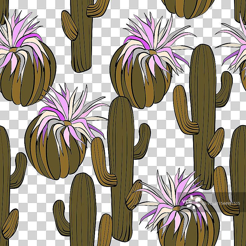 无缝图案，盛开的多肉植物仙人掌图片素材