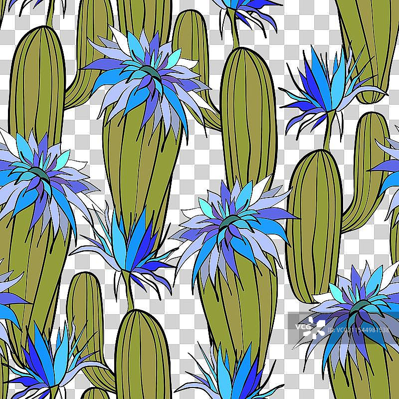 无缝图案，盛开的多肉植物仙人掌图片素材