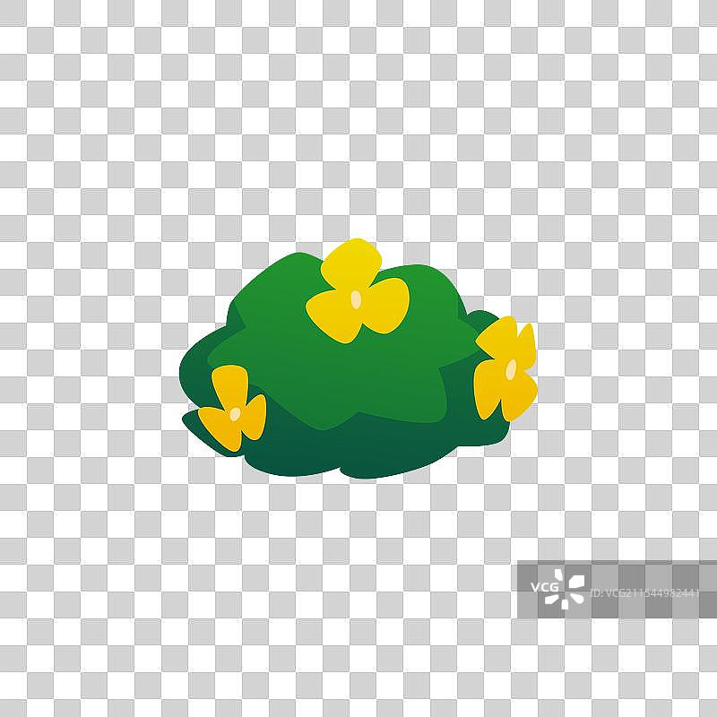 绿色灌木丛中盛开着黄色雏菊花图片素材