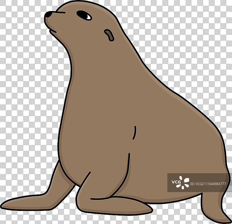 手绘海豹卡通图图片素材