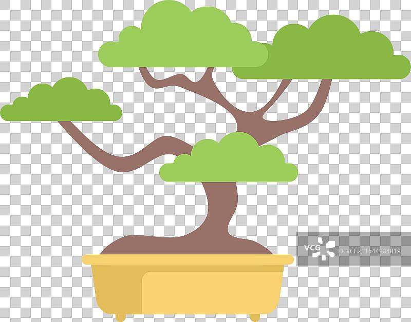 装饰性迷你树木生长在花盆中图片素材