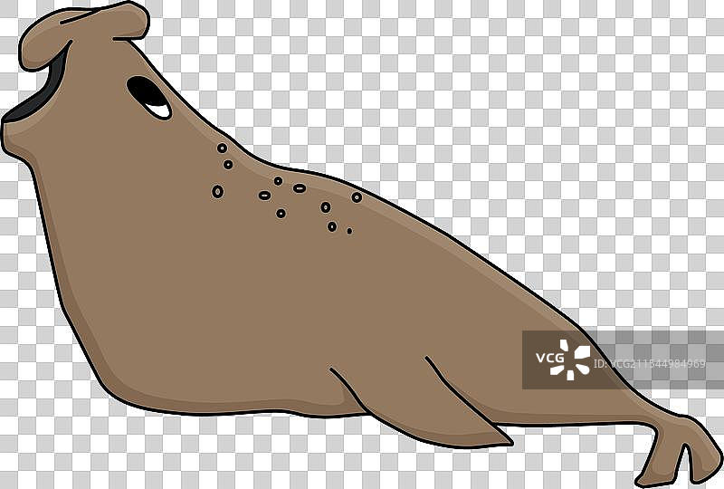 手绘卡通孤立的海象图片素材