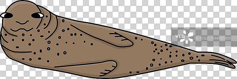 手绘卡通豹海豹图片素材