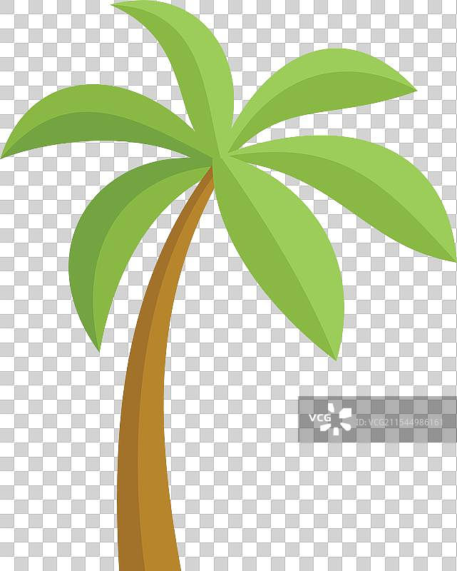 简单卡通风格的绿色棕榈树生长中图片素材