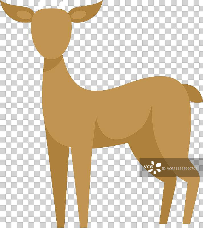 年轻的鹿警觉地站立，抬起头来。图片素材