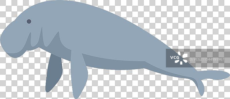 可爱的海牛在水下游泳图片素材