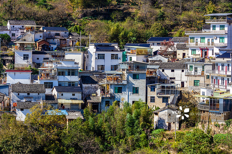 柿乡姬公尖秋色图片素材
