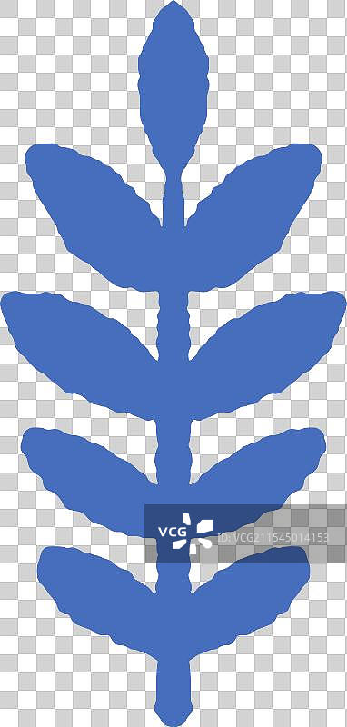 高大的蓝色叶茎图片素材