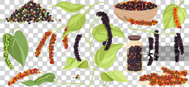 新鲜和干燥的不同颜色的胡椒粒图片素材