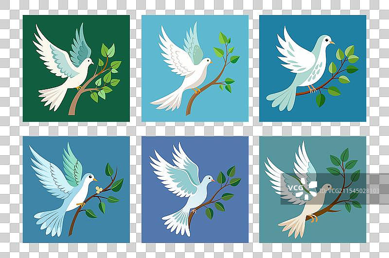 鸽子嘴里叼着一根树枝飞翔图片素材