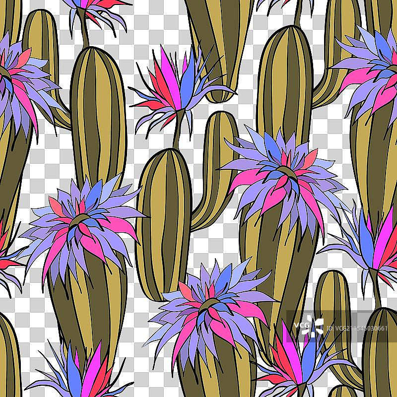 无缝图案，盛开的多肉植物仙人掌图片素材