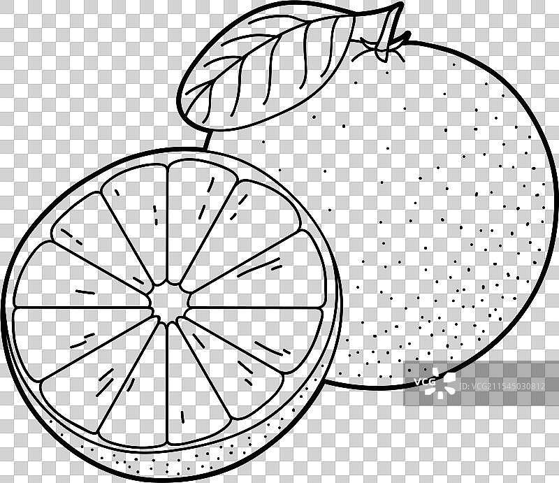 橙子的整体和半个的轮廓图片素材