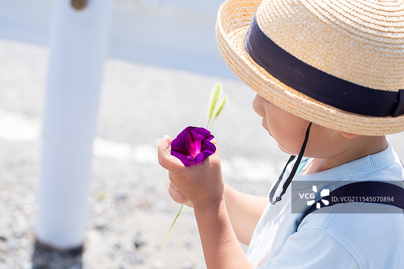 男孩微笑着看着采摘的花朵图片素材