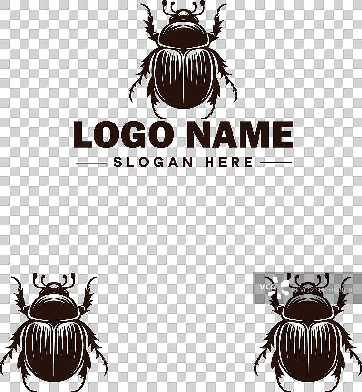 六月甲虫蜜蜂商标图标用于商业品牌应用图片素材