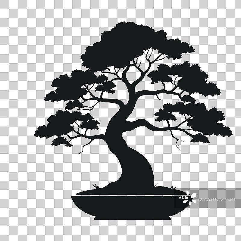带有设计的盆栽树剪影图片素材