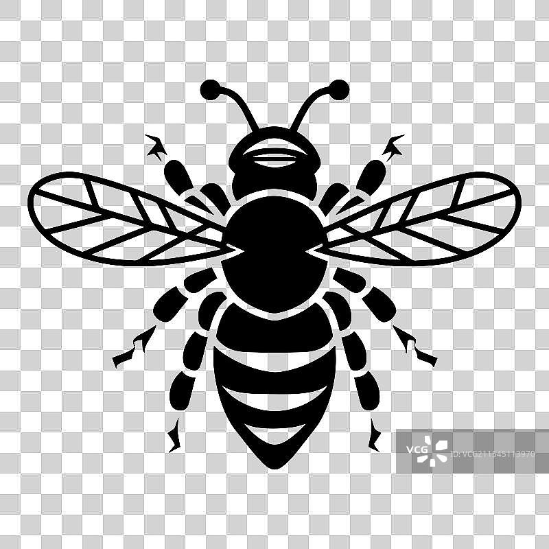 蜜蜂图标轮廓图片素材