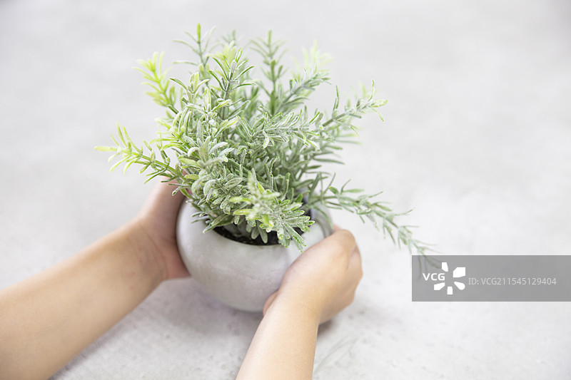 孩子抱着一棵植物图片素材