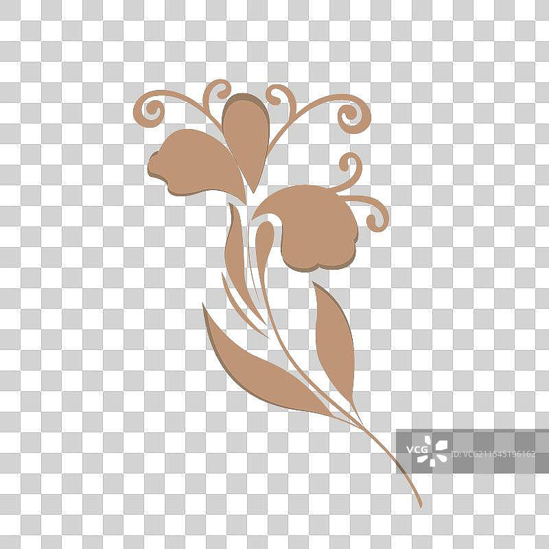 精致的花卉设计，带有优雅的涡旋图片素材