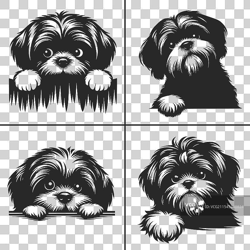 西施犬SVG窥视狗剪影图片素材