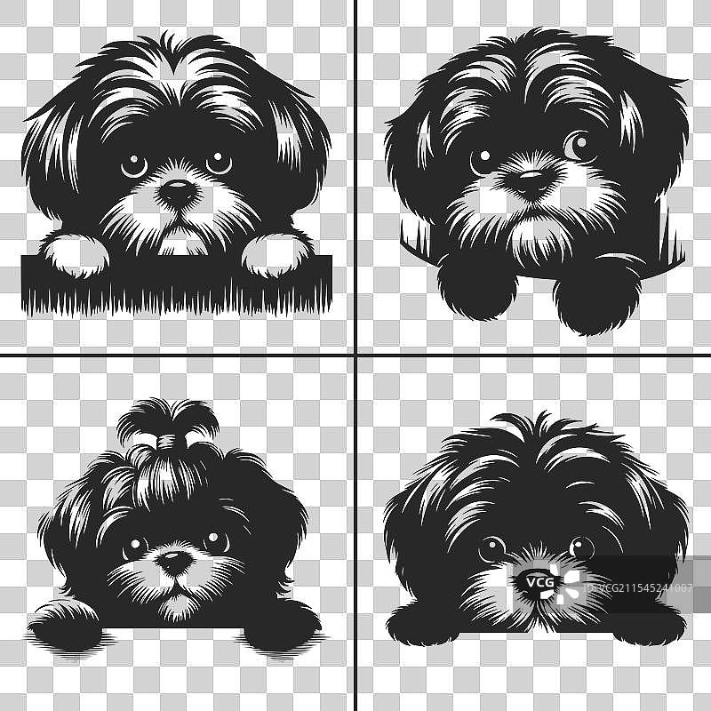 西施犬SVG窥视狗轮廓图片素材