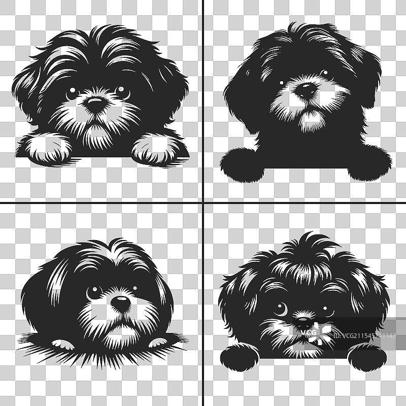 西施犬SVG窥视狗剪影图片素材