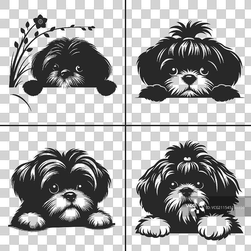 西施犬SVG窥视狗轮廓图片素材