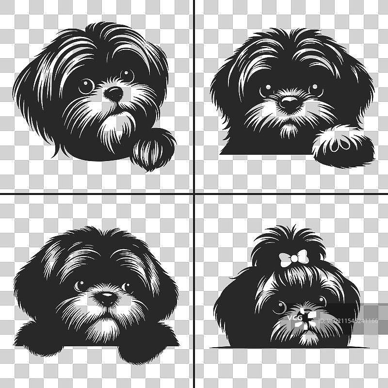 西施犬SVG窥视狗剪影图片素材