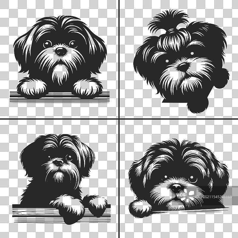 西施犬SVG窥视狗轮廓图片素材