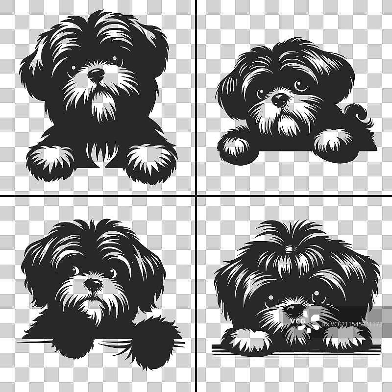 西施犬SVG窥视狗剪影图片素材